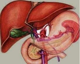 El metabolismo de budesonida es mediado principalmente por la enzima CPY3A4 del citocromo P450

El ketoconazol e itraconazol pueden incrementar la exposición sistémica de budesonida en tratamientos prolongados.

En casos de hipotrombinemia administrar cuidadosamente el ácido acetilsalicílico y corticosteroides